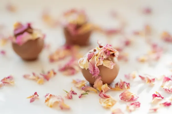 Andromeda Casino App Android/iOS